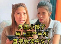 国产小姨子,揭秘现代家庭情感纠葛