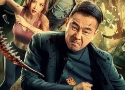 国产电影在线,国产电影中的时代印记与情感共鸣