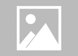 另类国产在线,另类国产在线的崛起与影响